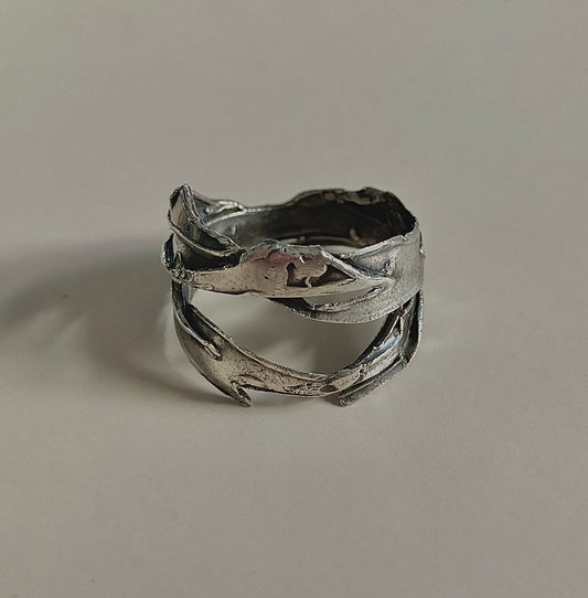 Abstract Rough Ring